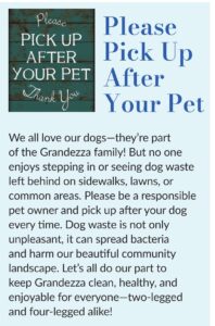 Please Pick Up After Your Pet flyer
