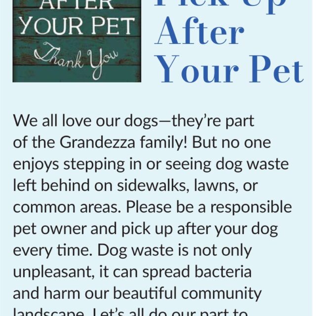 Please Pick Up After Your Pet flyer