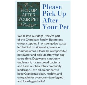 Please Pick Up After Your Pet flyer